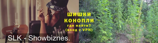 PSILOCYBIN Кулебаки