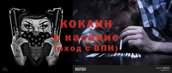 PSILOCYBIN Кулебаки