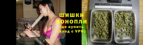 PSILOCYBIN Кулебаки