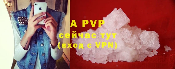 PSILOCYBIN Кулебаки