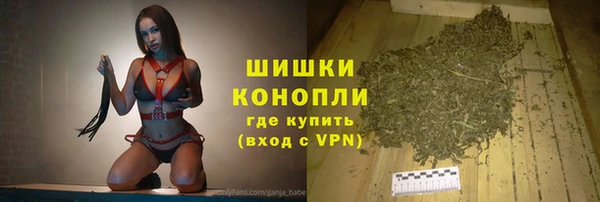 PSILOCYBIN Кулебаки