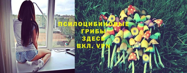 индика Кукмор
