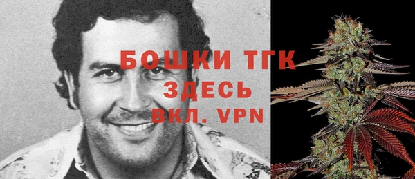 PSILOCYBIN Кулебаки
