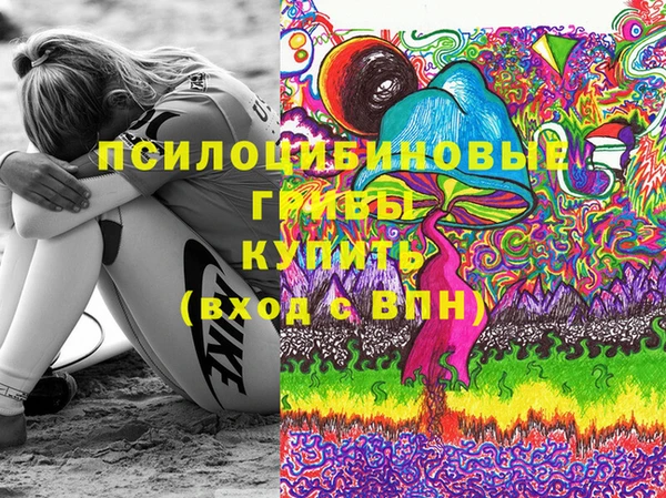 индика Кукмор