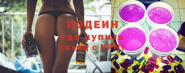 индика Кукмор