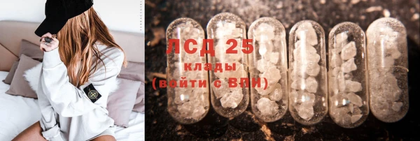 индика Кукмор