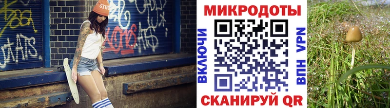 Псилоцибиновые грибы GOLDEN TEACHER  Купить где  Катав-Ивановск 