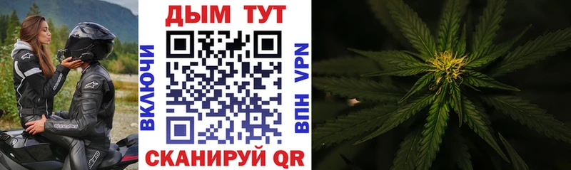 Купить где  Катав-Ивановск  Каннабис марихуана 